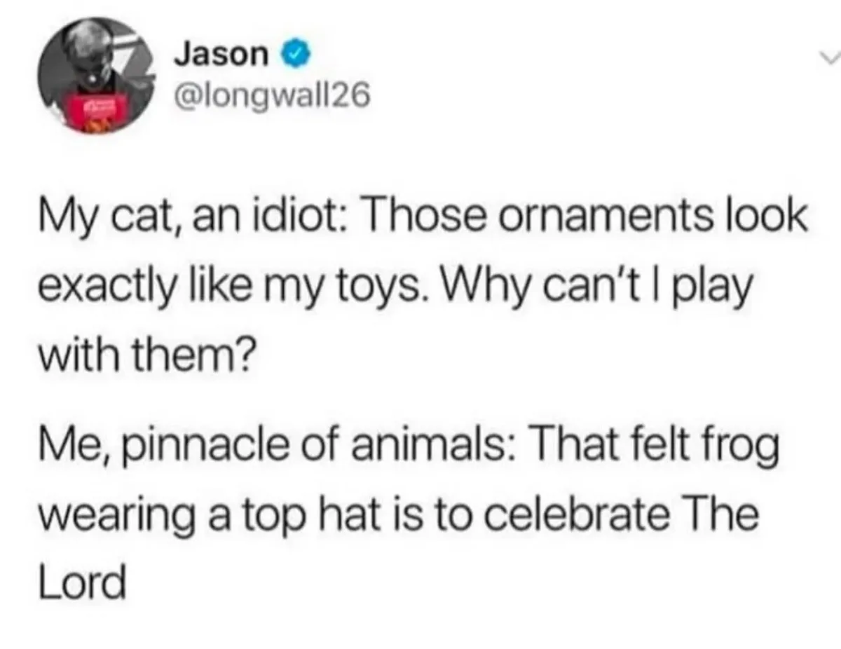 A screenshot of a tweet by Jason (@longwall26) with text describing a cat's confusion over Christmas ornaments resembling…