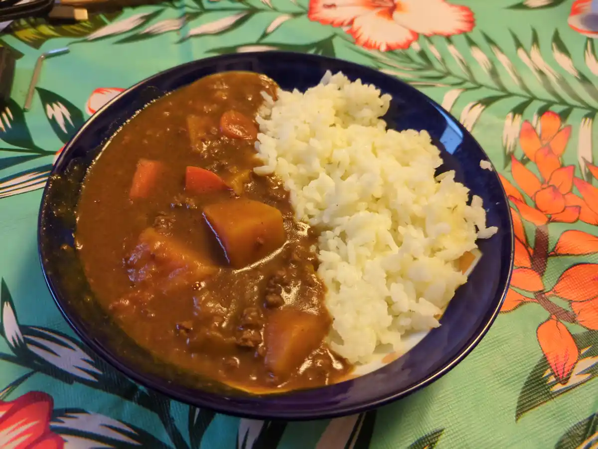 A dark blue bowl holds a serving of brown curry with visible chunks of carrots and potatoes alongside a portion of white…
