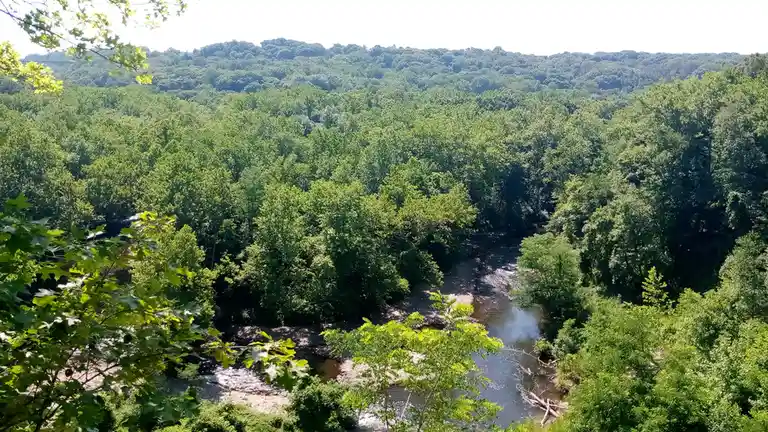 A scenic, high-angle photograph shows a winding river flowing through a dense, lush green forest under bright sunlight…