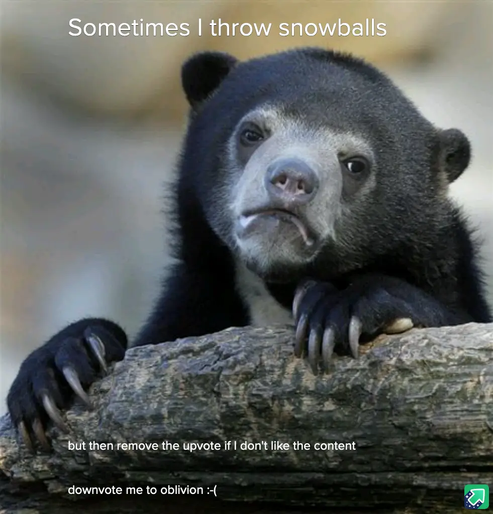 A Unique Showdown: Snowballs, Acorns, and Pinecones