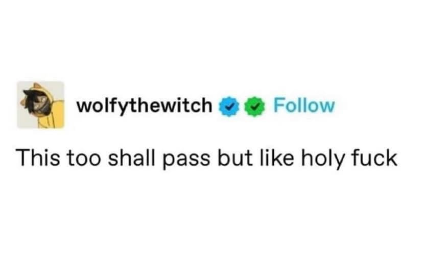 A screenshot of a Twitter/X profile named 'wolftythewitch' with a verified blue checkmark and a green 'Follow' button. The…