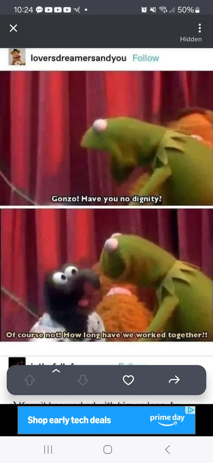 The image shows two panels from a Muppet scene. In the top panel, Kermit the Frog looks shocked and asks Gonzo, "Gonzo! Have…