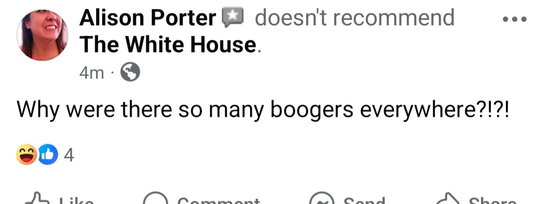 A screenshot of a Facebook post by Alison Porter, who has a 'doesn't recommend The White House' badge. Below her post, a…