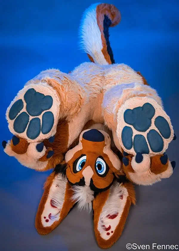 A plushie of a fennec fox-like creature is photographed upside down, with its large paws and tail visible against a blue…
