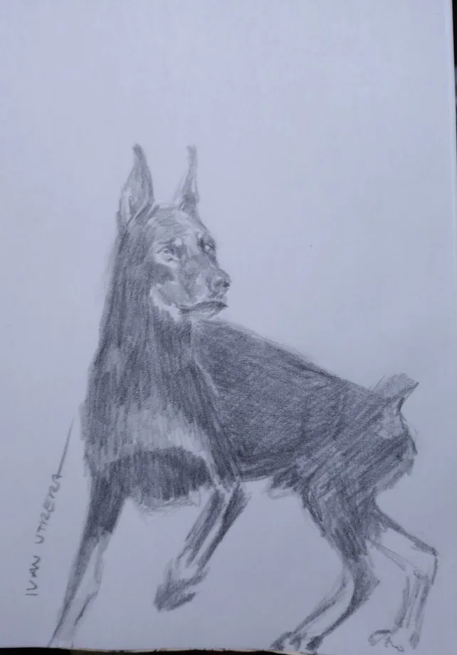 A pencil sketch of a dog standing in profile, drawn with shading to suggest fur and form. The dog has pointed ears and a…