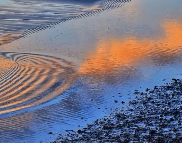 A serene beach scene with rippling water reflecting orange sunset hues and concentric wave patterns in wet sand. Overlaid…