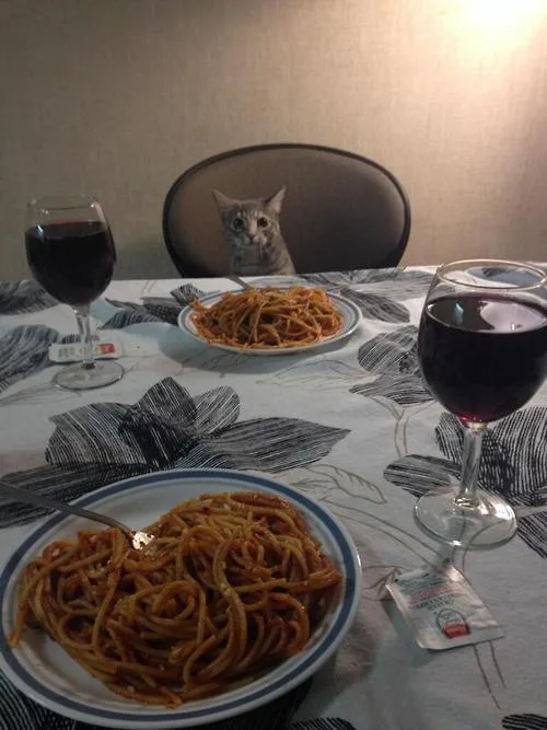 A cat sits at a dining table with two plates of spaghetti and two glasses of red wine, looking directly at the camera with…
