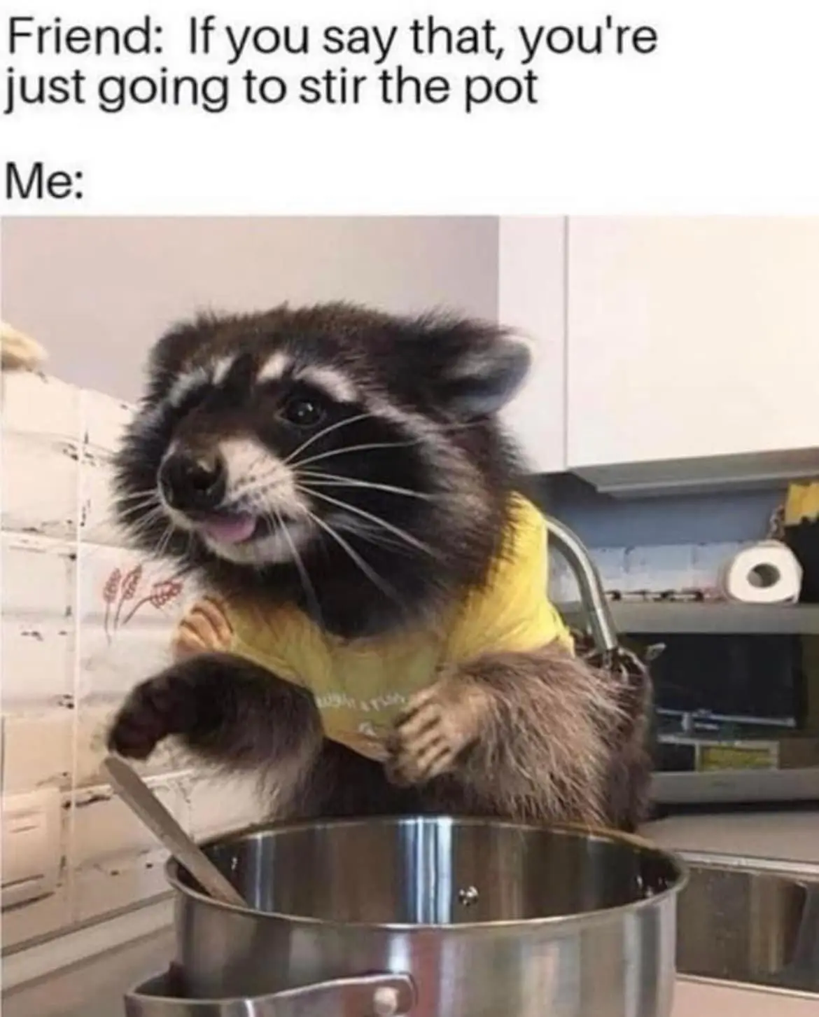 A raccoon wearing a yellow shirt is standing on a kitchen counter, holding a wooden spoon over a large metal pot, looking…