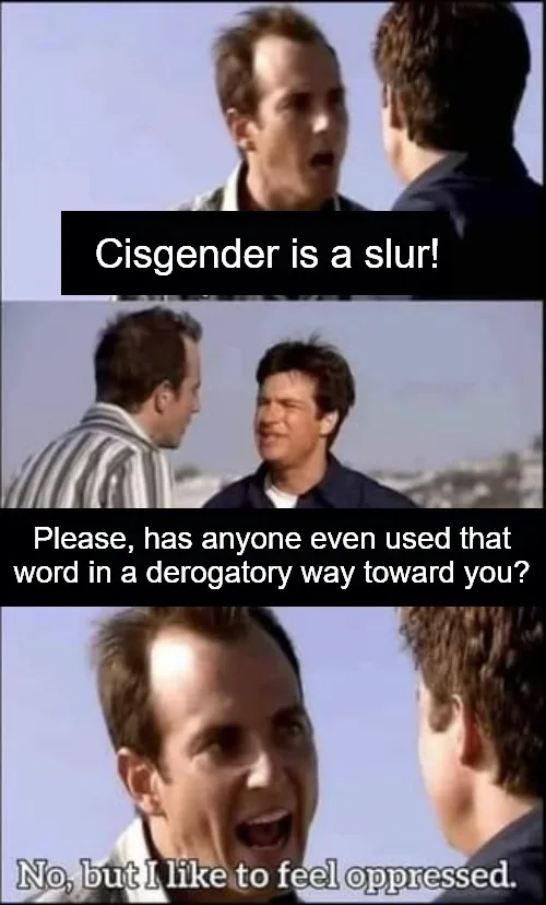 A three-panel meme using a scene from the movie 'The Hangover' where one man shouts 'Cisgender is a slur!' while another…