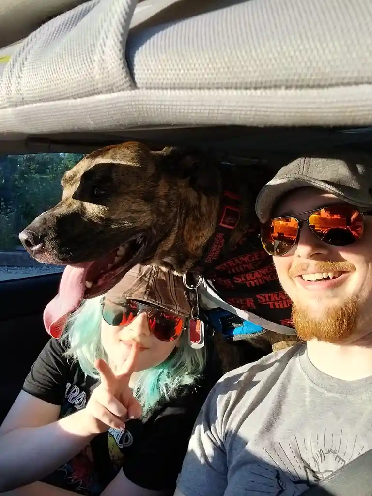 A selfie from inside a car shows a man and a woman wearing sunglasses, with a large brindle dog in the middle. The dog has…