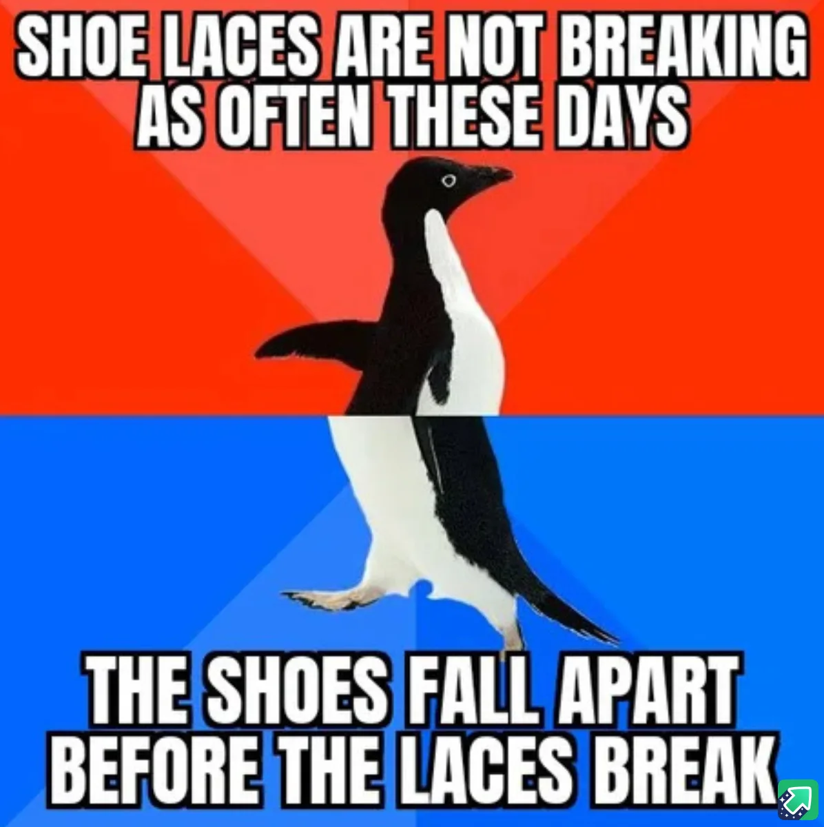 It's Like Evolving, But in Reverse!