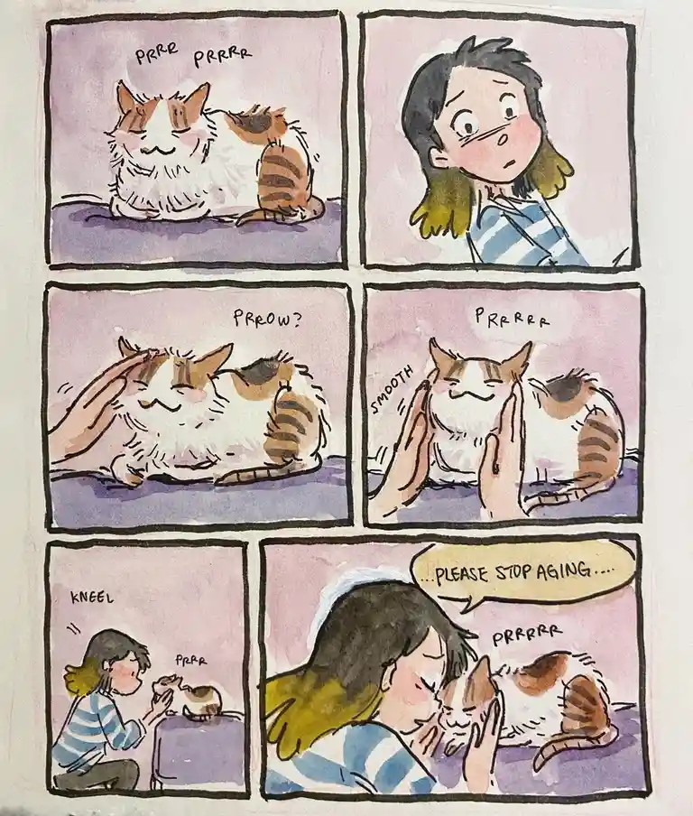 A six-panel comic strip shows a fluffy cat being petted by a young woman. The cat initially purrs loudly, then the woman…
