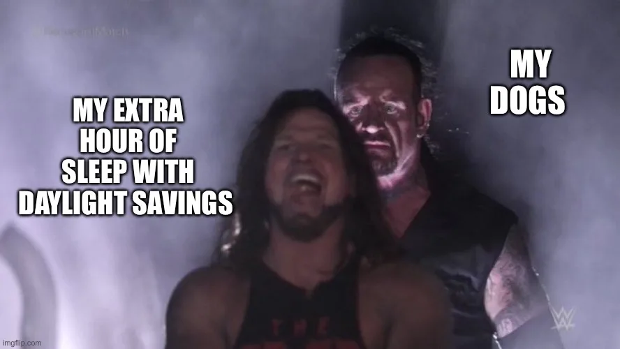 A still from a WWE wrestling match shows a wrestler in the foreground screaming with joy while another wrestler looms behind…