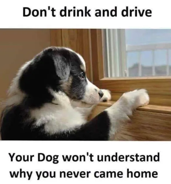 A Clever Way to Persuade...