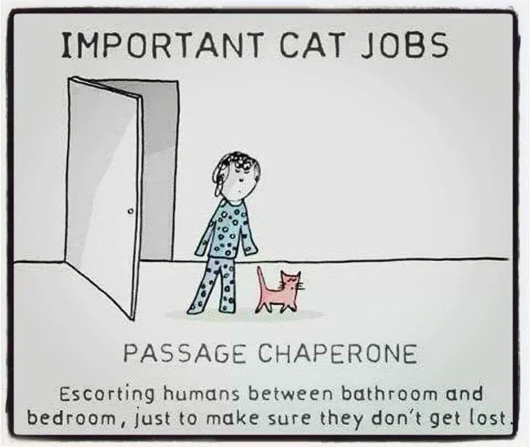 A simple cartoon shows a person in pajamas standing beside a small pink cat near an open door. The text at the top reads…