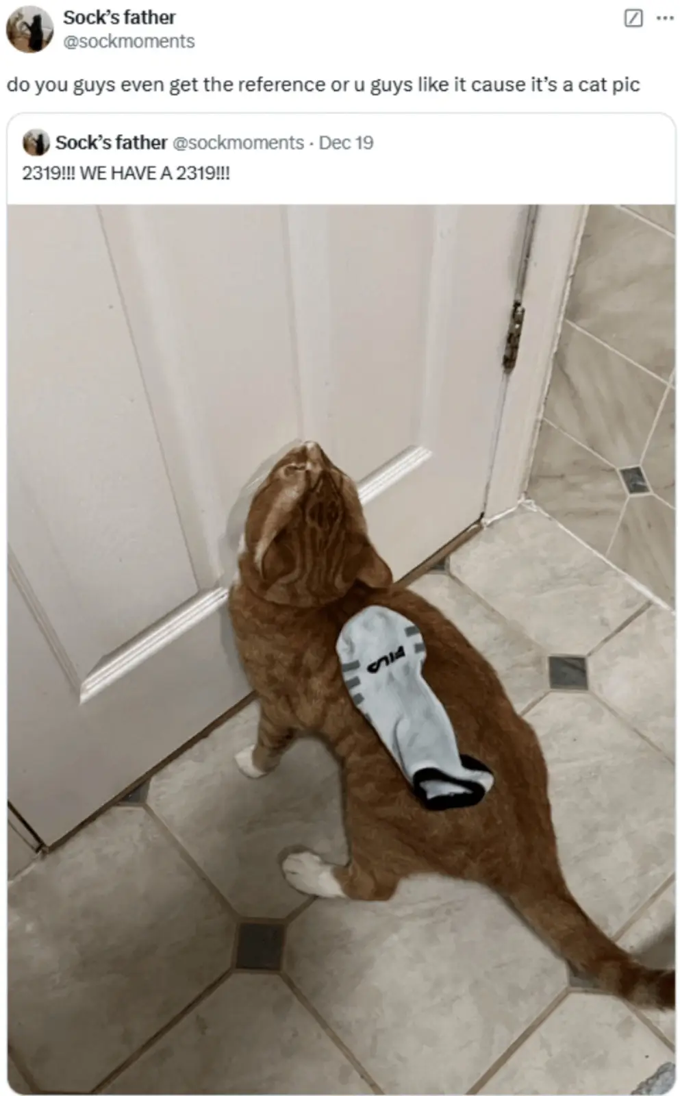 An orange tabby cat with white paws is sitting on a tiled floor, looking up at a white door, with a white sock draped over…