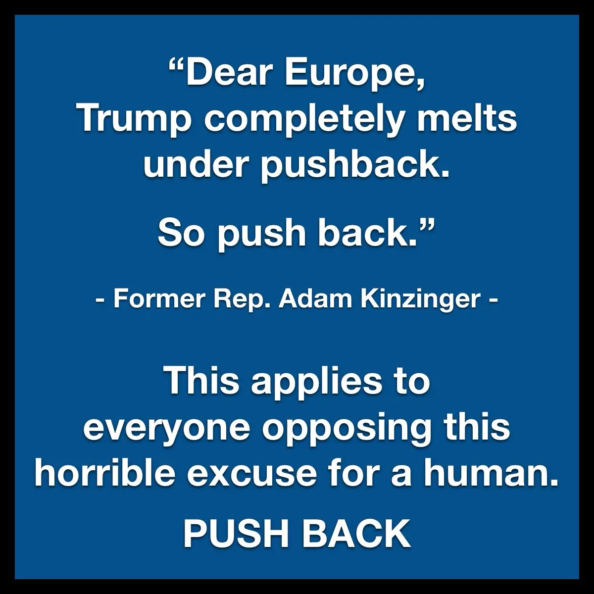 A solid blue background with white text displays a quote attributed to former Rep. Adam Kinzinger, advising Europe to 'push…