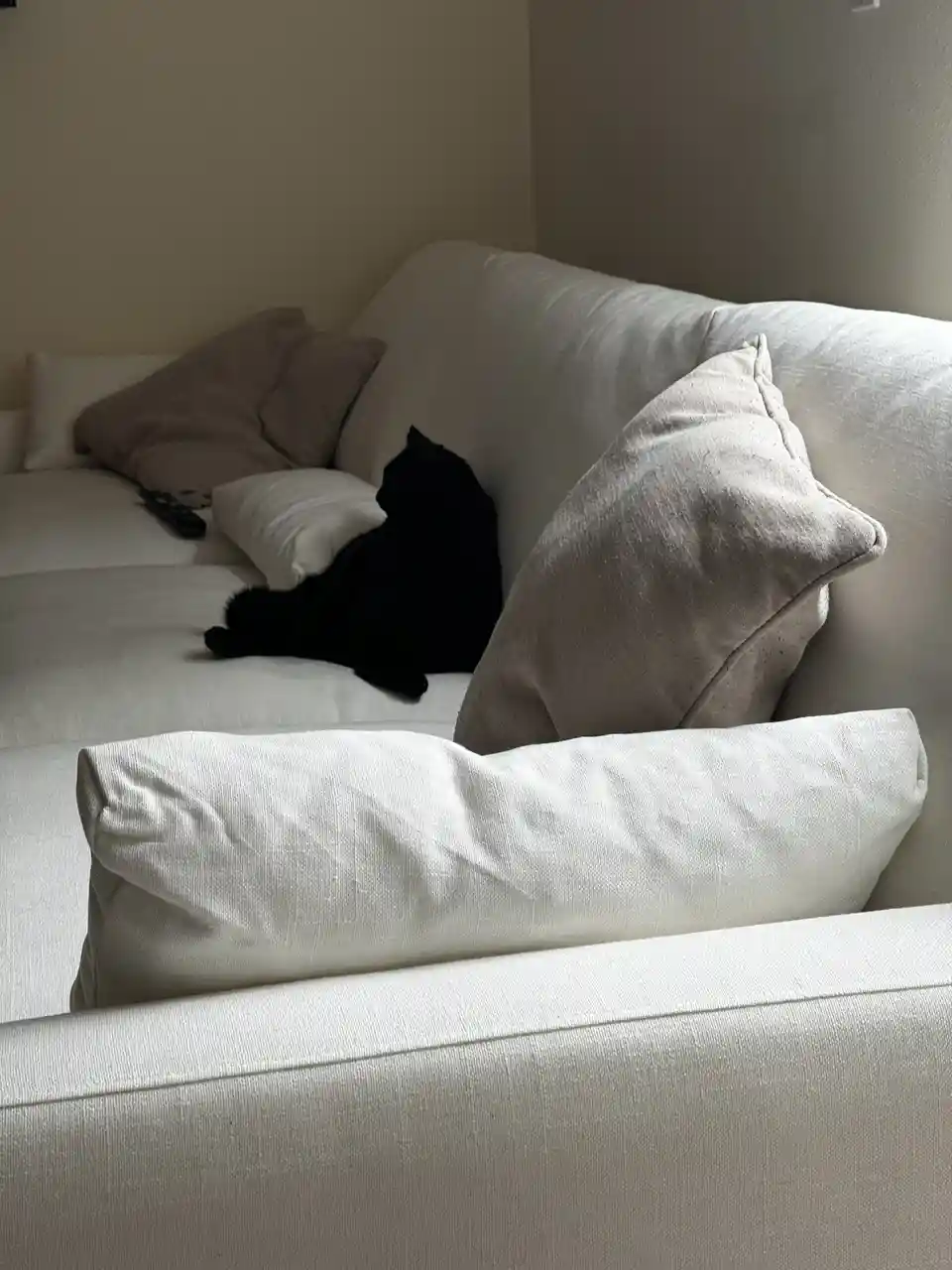 A black cat is lying on a light-colored couch, surrounded by pillows, with a remote control nearby. The overlaid text reads…