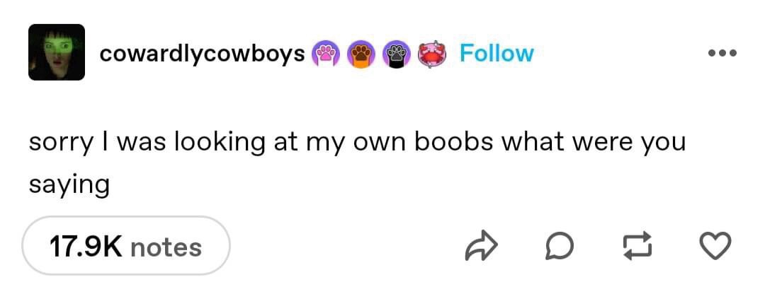 An Instagram post by user 'cowardlycowboys' shows a text overlay that reads 'sorry I was looking at my own boobs what were…