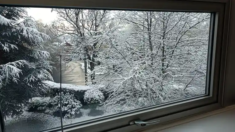 A view from inside a room looking out a window at a snowy landscape, with snow-covered trees and bushes visible outside. The…
