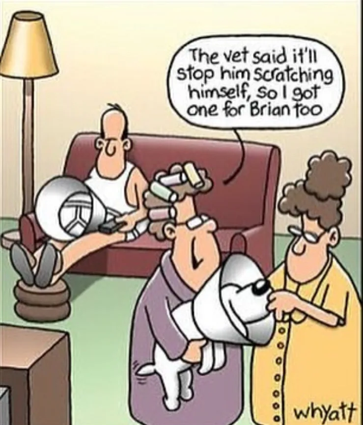 A cartoon depicts a man sitting on a red couch holding a megaphone, while a woman holds a small white dog also wearing a…