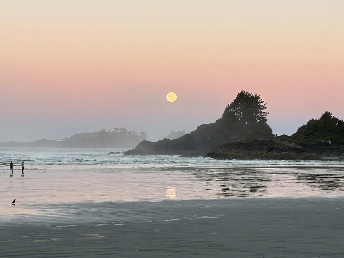 A serene beach scene at dusk or dawn with a large, glowing full moon hanging in a pinkish-orange sky. The wet sand reflects…