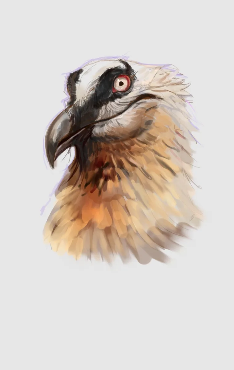 A digital painting of a bird's head, likely a vulture or similar scavenger, with a stern, intense gaze and a curved beak…