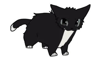 Adorable Cat Moments