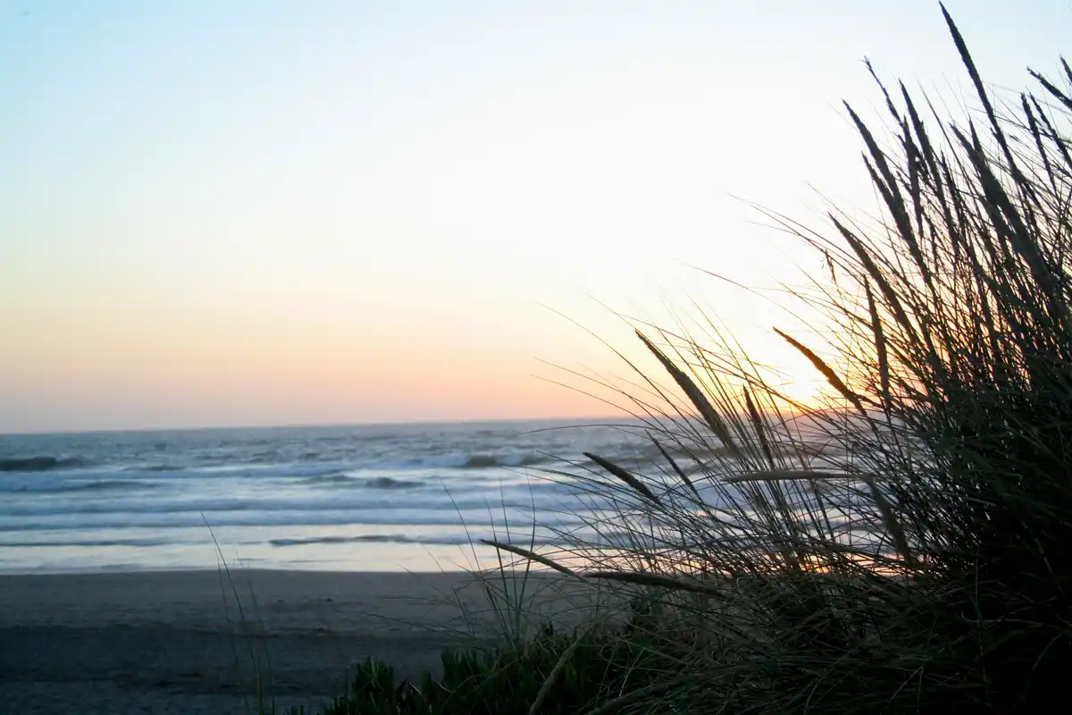 A serene beach sunset photo with dune grass silhouetted against the horizon, overlaid with the text 'i'm not lazy, i'm in…