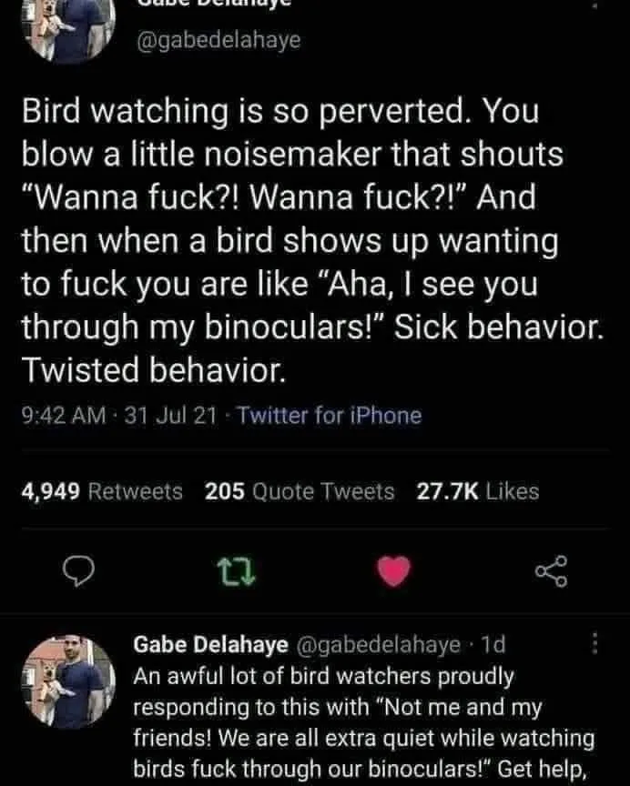 A screenshot of a Twitter thread by Gabe Delahaye, where he sarcastically mocks birdwatchers for using loud noisemakers to…