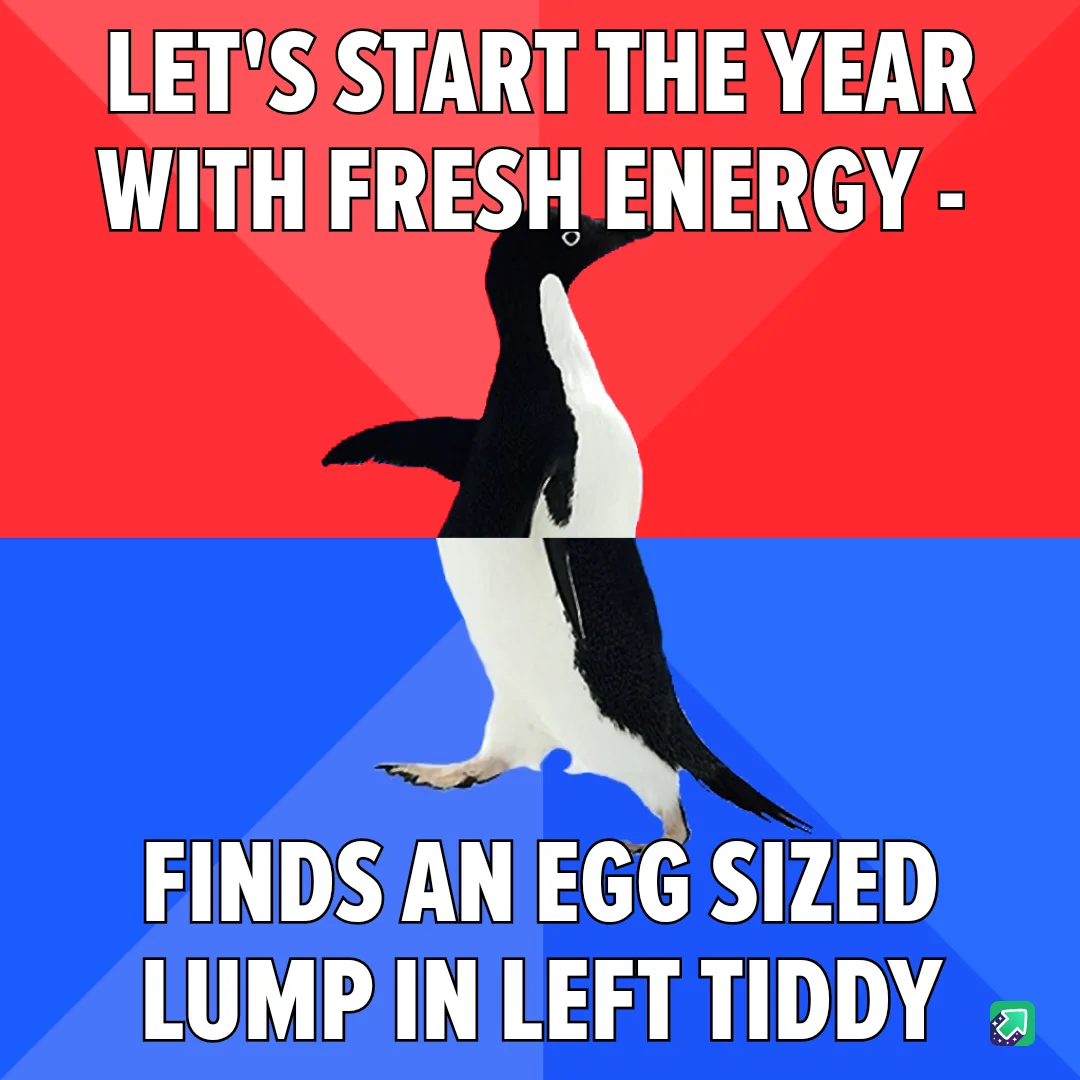 A penguin stands upright against a red and blue background, with bold white text at the top reading 'LET'S START THE YEAR…