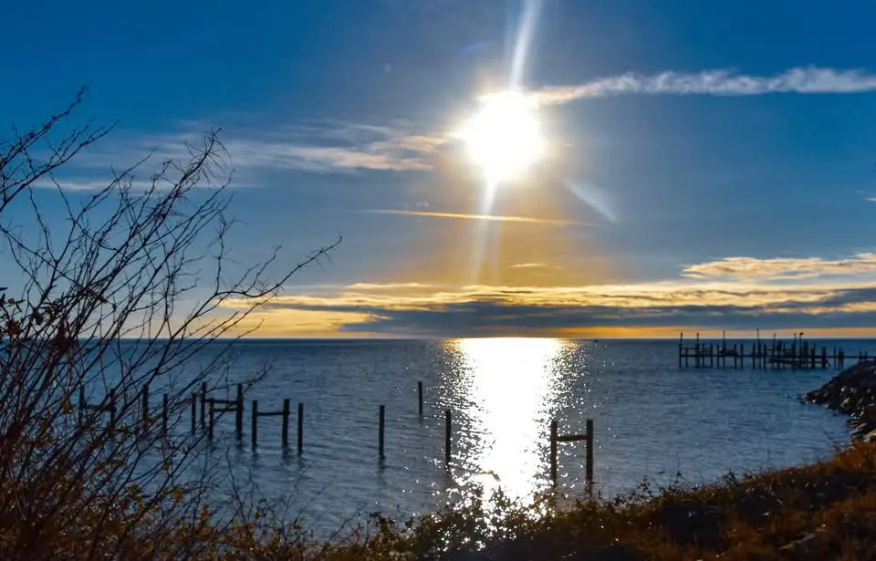 A scenic photo of a bright sun shining over a calm body of water with wooden pilings and bare branches in the foreground…
