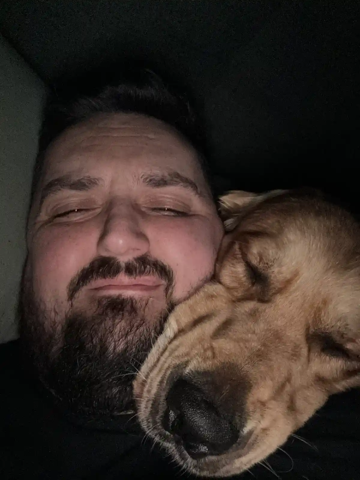 Merry Christmas! Enjoy Cozy Pupper Snuggles!