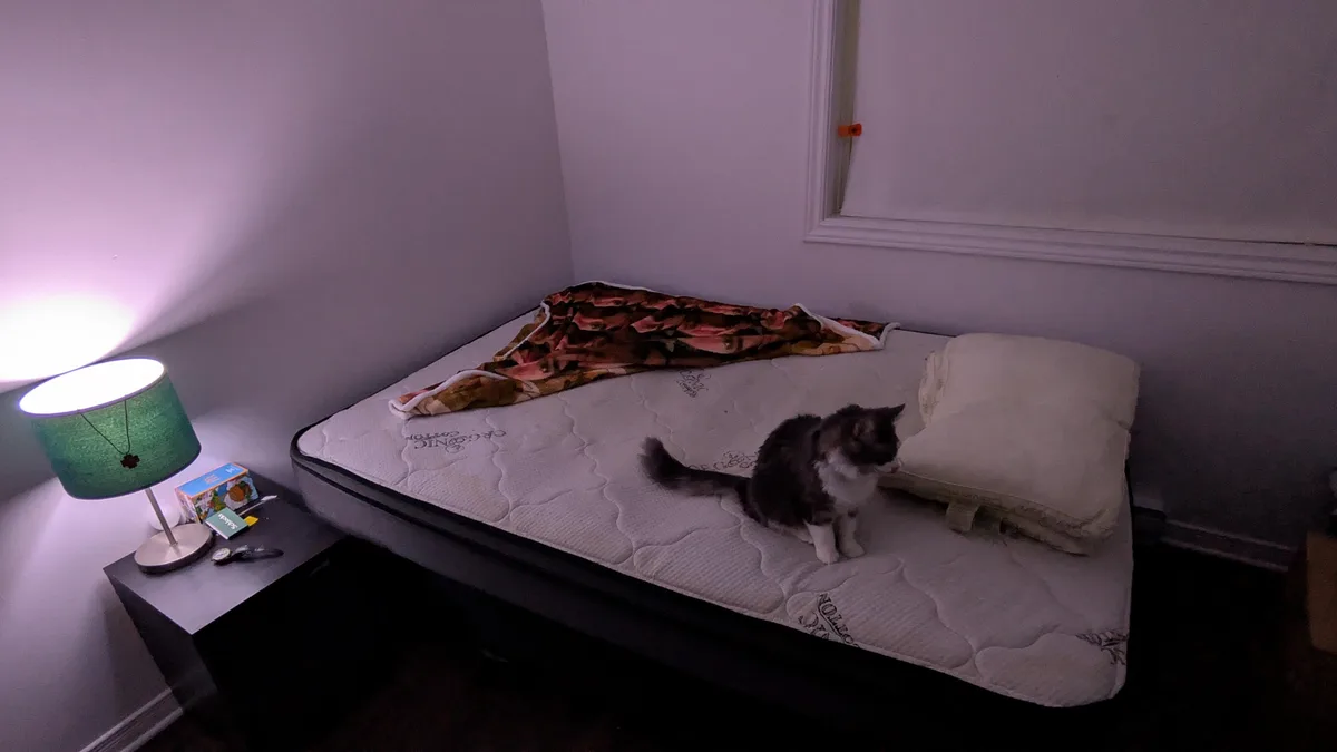 A gray and white cat sits on a bare mattress in a dimly lit bedroom, next to a pillow and a floral blanket. A green lamp on…