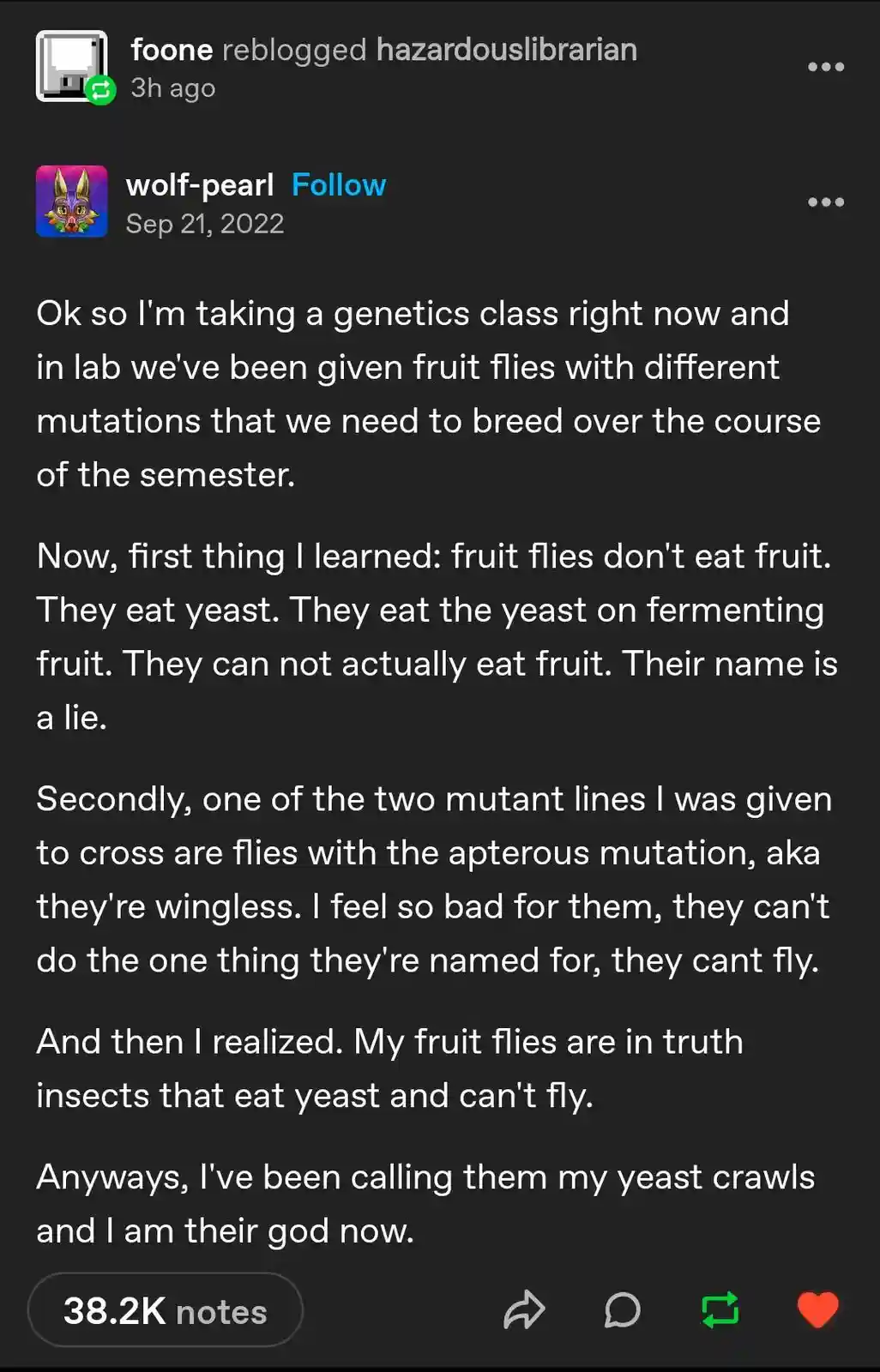 A screenshot of a Tumblr post by user 'wolf-pearl' from September 2022, detailing a student's humorous realization in a…