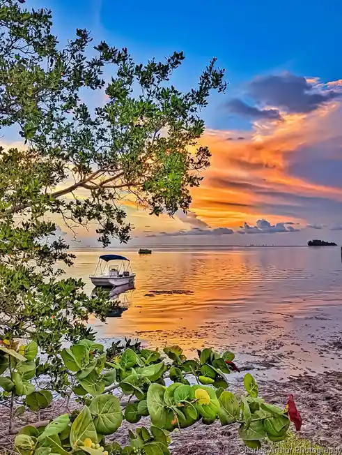 A serene sunset photograph shows a small white boat with a blue canopy floating on calm water, framed by lush green foliage…