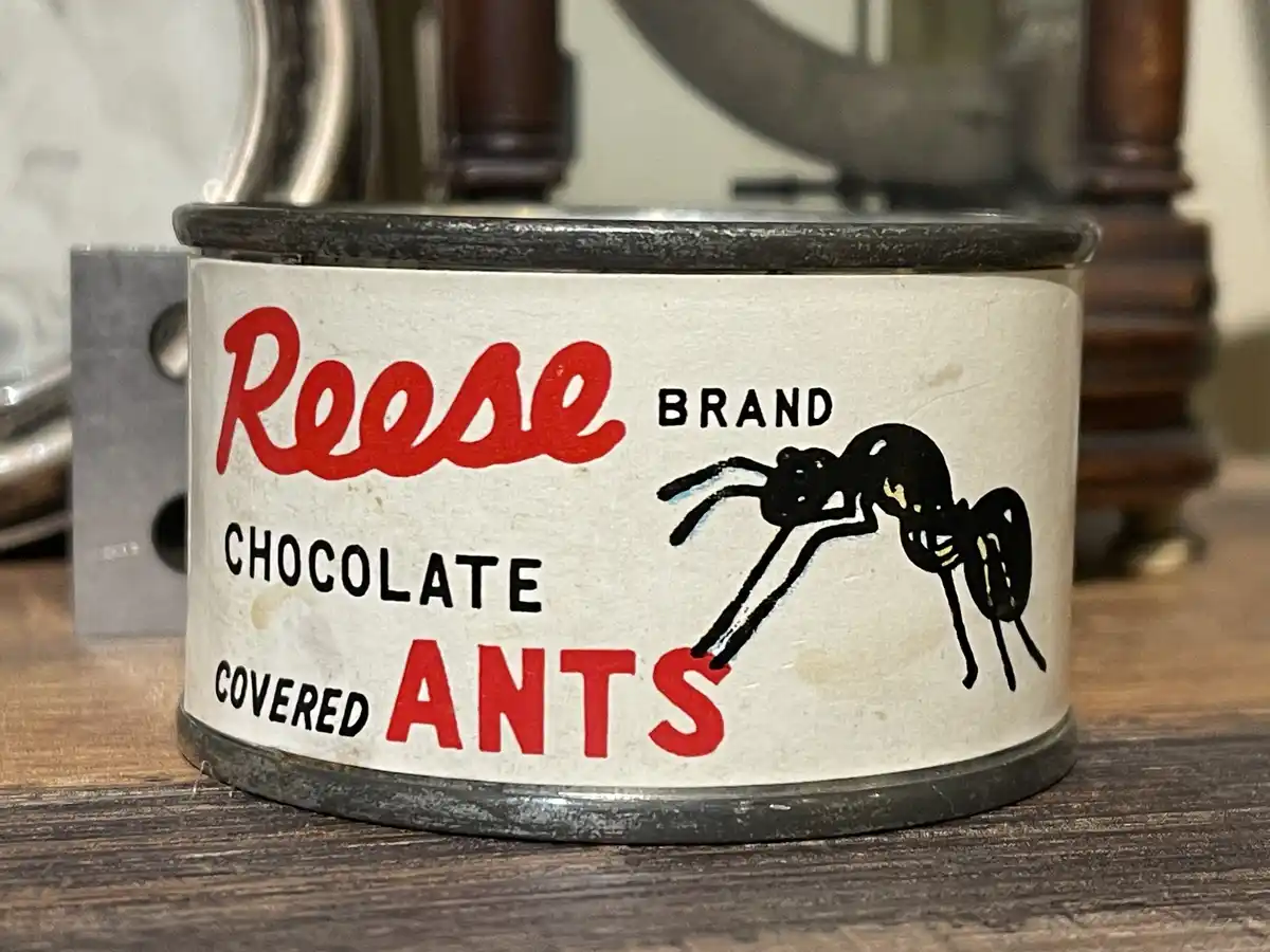 A close-up of a vintage metal can labeled 'Reese BRAND CHOCOLATE COVERED ANTS' with a black ant illustration. The can sits…