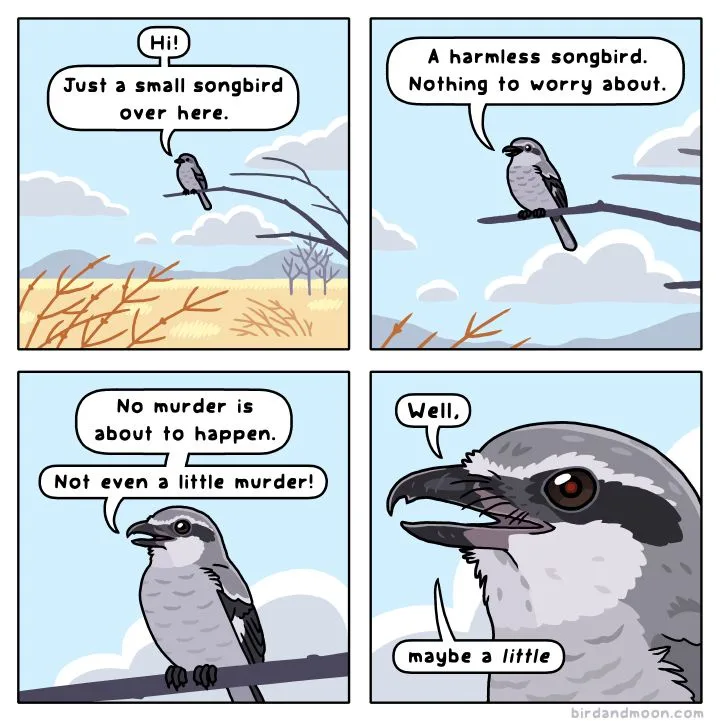 Just a Chicken: The Poultry Chronicles