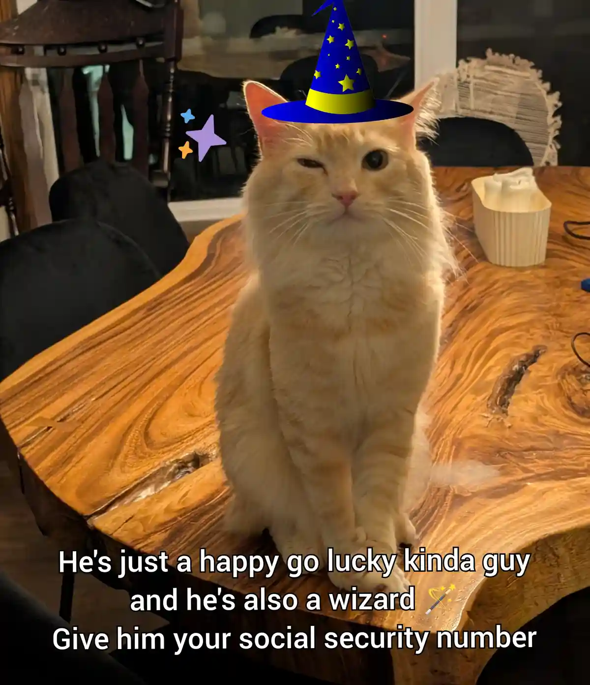 A fluffy orange cat sits upright on a large wooden table, wearing a blue wizard hat with yellow stars and a yellow band. The…
