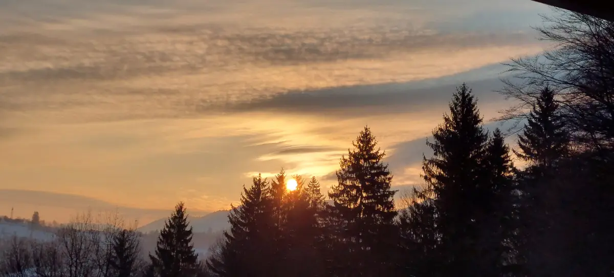 A serene winter sunset with the sun low on the horizon, casting golden light through wispy clouds. Silhouetted evergreen…