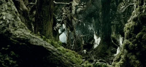 The image shows a dark, dense forest with gnarled, moss-covered trees and thick undergrowth. The scene is duplicated…