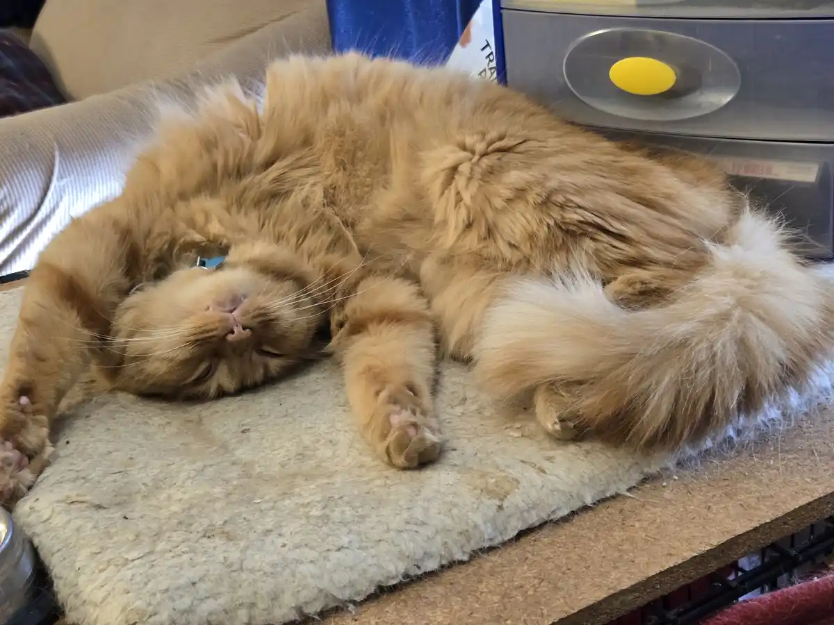 The Struggle of a Sleepy Friday