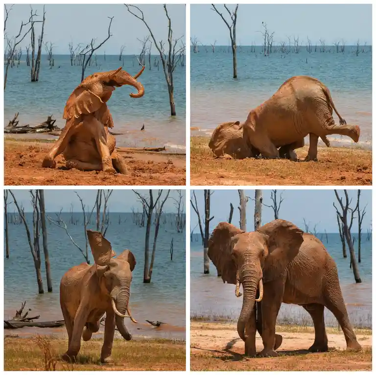 The Delightful Experience of a Mud Bath