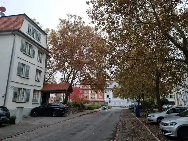 A quiet residential street with autumn trees, parked cars, and European-style buildings under an overcast sky. The overlaid…