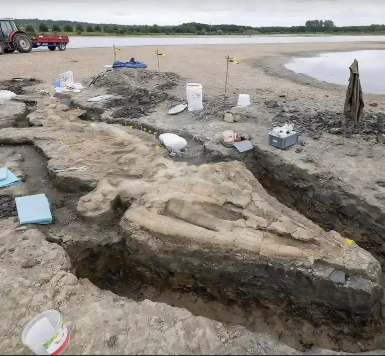 An outdoor archaeological dig site reveals large, partially unearthed fossilized dinosaur bones embedded in sediment…