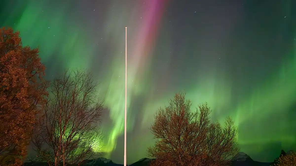 Aurora Shines Bright for Team Pinecone