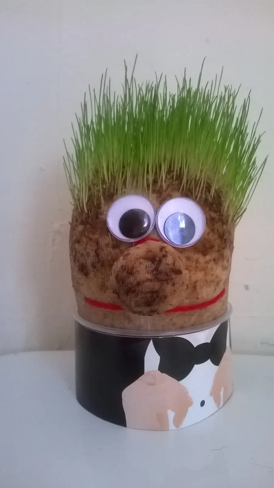 A handmade craft depicts a face made from a clump of sprouting green grass, with large googly eyes, a brown burlap nose, and…