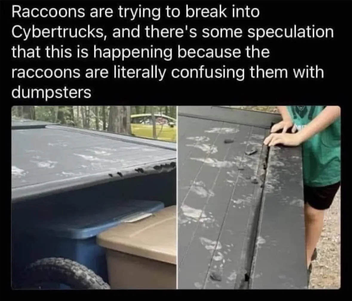 The image shows two photos of a black, hard-shell truck bed cover with multiple raccoon paw prints and claw marks. In the…