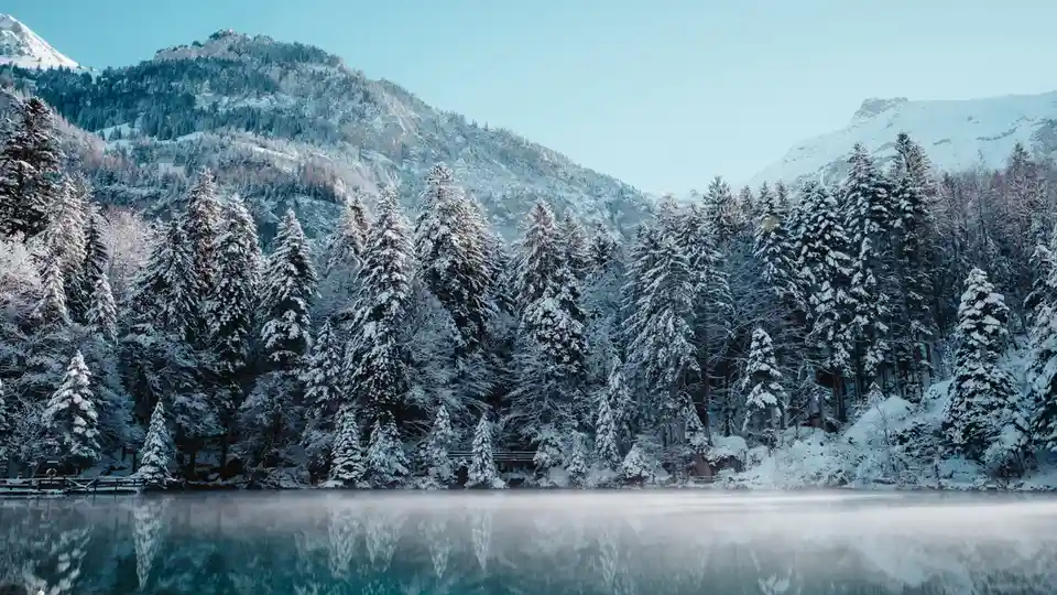 A serene winter landscape featuring snow-covered evergreen trees lining a calm, reflective lake with mist rising from the…