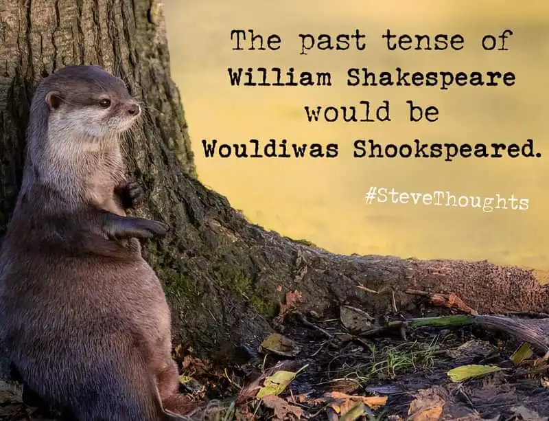 Steve could really use a new hobby!